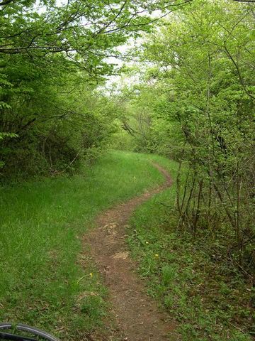 La descente d arguel